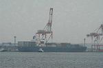 Dcim2420/DSC_1985