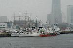 Dcim2420/DSC_1995