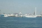 Dcim2421/DSC_3284