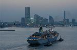 Dcim2425/DSC_2154