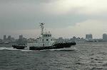 Dcim2428/DSC_3805