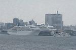 Dcim2430/DSC_2225
