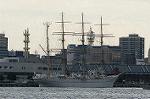 Dcim2437/DSC_2703
