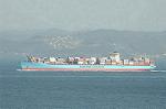 Dcim2439/DSC_4490