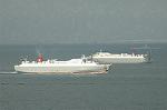 Dcim2439/DSC_4491