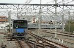 Dcim2445/DSC_4846