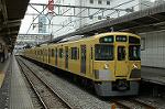 Dcim2445/DSC_4862