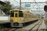 Dcim2445/DSC_4871
