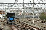 Dcim2445/DSC_4875