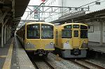 Dcim2445/DSC_4902