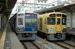 Dcim2445/DSC_4923