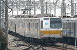 Dcim2446/DSC_2933