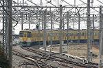 Dcim2446/DSC_2936
