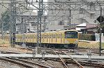 Dcim2446/DSC_2964