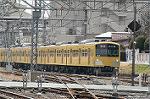 Dcim2446/DSC_2979