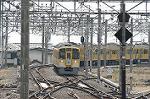 Dcim2447/DSC_2997