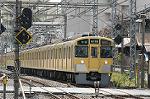 Dcim2447/DSC_3004