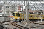 Dcim2447/DSC_3092