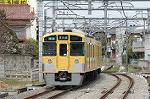Dcim2448/DSC_3110