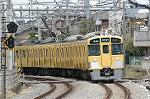 Dcim2448/DSC_3119