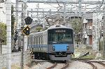 Dcim2448/DSC_3129