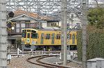 Dcim2448/DSC_3137