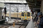 Dcim2448/DSC_3172