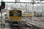 Dcim2448/DSC_3186
