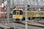 Dcim2448/DSC_3194