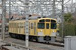Dcim2448/DSC_3195