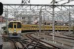 Dcim2448/DSC_3213