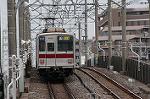 Dcim2453/DSC_3487