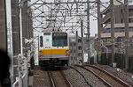 Dcim2453/DSC_3493