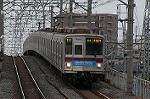 Dcim2453/DSC_3498