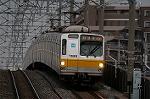 Dcim2453/DSC_3515