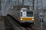 Dcim2453/DSC_3521