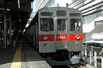 Dcim2454/DSC_5203