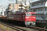 Dcim2456/DSC_5451