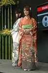 Dcim2494/DSC_8067