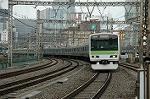 Dcim2497/DSC_8210