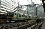 Dcim2497/DSC_8262