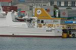 Dcim2498/DSC_8365