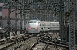 Dcim2516/DSC_4783