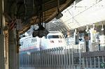 Dcim2517/DSC_4961