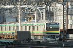 Dcim2517/DSC_4982