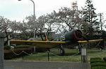 Dcim2526/DSC_0765