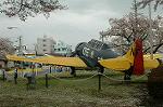Dcim2526/DSC_0773