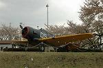 Dcim2526/DSC_0776