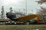 Dcim2526/DSC_0777