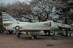 Dcim2526/DSC_0780